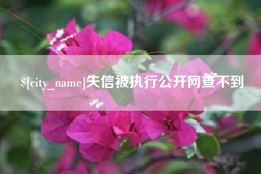 随县失信被执行公开网查不到
