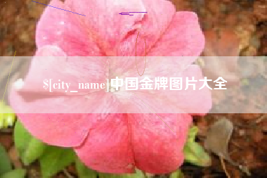 随县中国金牌图片大全
