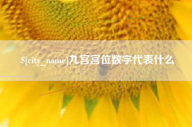 随县九宫宫位数字代表什么