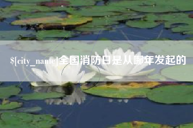 随县全国消防日是从哪年发起的