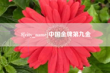 随县中国金牌第九金