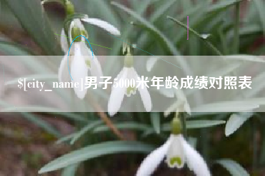 随县男子5000米年龄成绩对照表