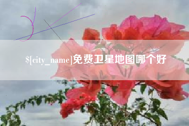随县免费卫星地图哪个好