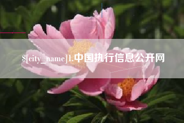 随县1.中国执行信息公开网