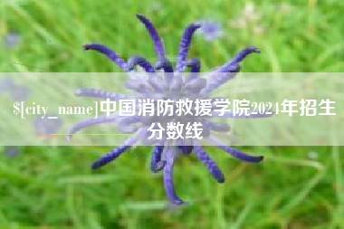 随县中国消防救援学院2024年招生分数线