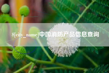 随县中国消防产品信息查询