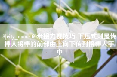 随县60米接力赛技巧-下压式则是传棒人将棒的前部由上向下传到接棒人手中