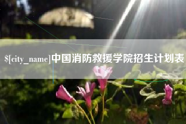 随县中国消防救援学院招生计划表
