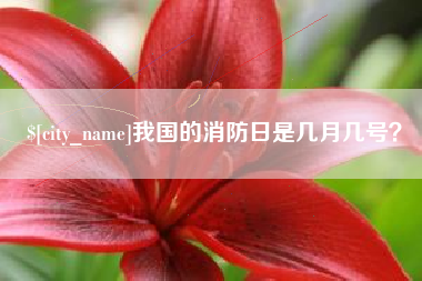 随县我国的消防日是几月几号？