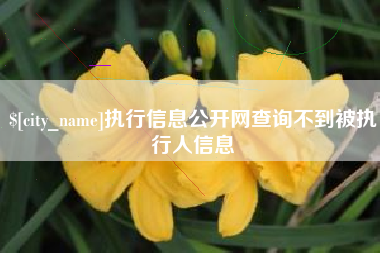 随县执行信息公开网查询不到被执行人信息