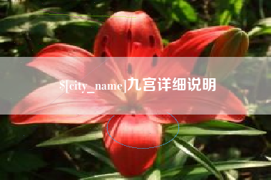 随县九宫详细说明