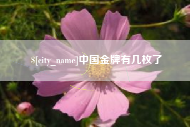 随县中国金牌有几枚了