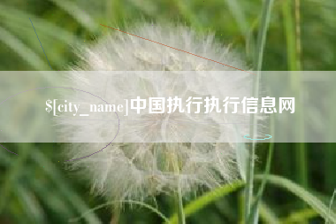 随县中国执行执行信息网