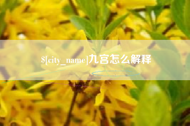 随县九宫怎么解释