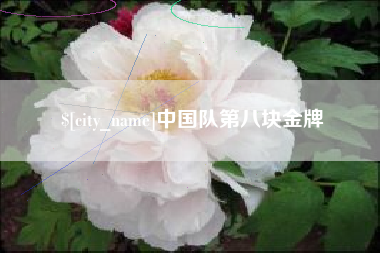 随县中国队第八块金牌
