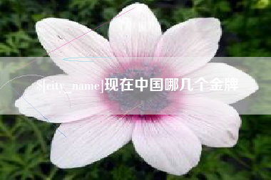 随县现在中国哪几个金牌