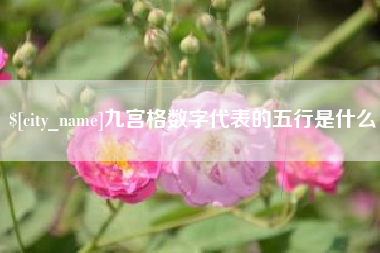 随县九宫格数字代表的五行是什么