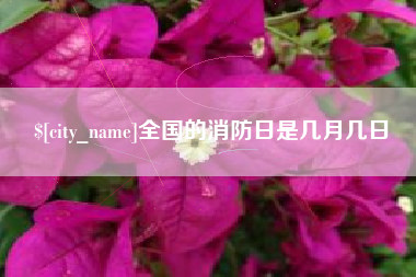 随县全国的消防日是几月几日