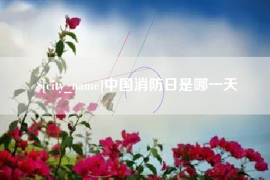 随县中国消防日是哪一天