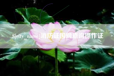 随县消防证国网查询操作证