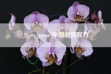 随县中国消防官方