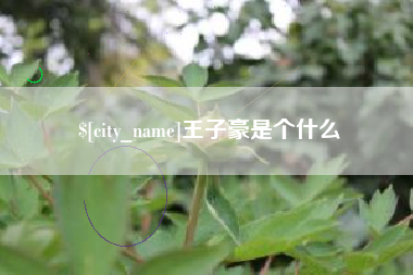 随县王子豪是个什么