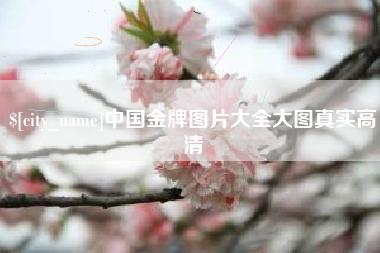随县中国金牌图片大全大图真实高清