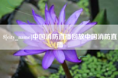 随县中国消防直播回放中国消防直播