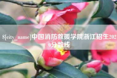 随县中国消防救援学院浙江招生2020分数线