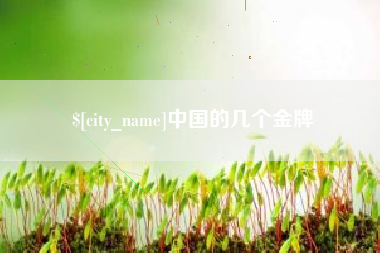 随县中国的几个金牌