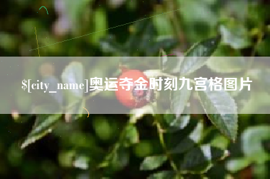 随县奥运夺金时刻九宫格图片
