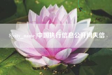 随县中国执行信息公开网失信