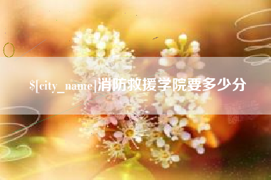 随县消防救援学院要多少分