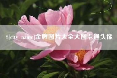 随县金牌图片大全大图卡通头像