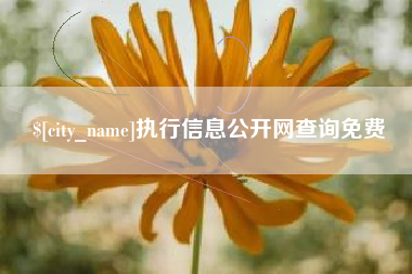 随县执行信息公开网查询免费