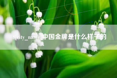 随县中国金牌是什么样子的