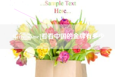随县看看中国的金牌有多少
